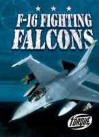 F-16 Fighting Falcons by David, Jack