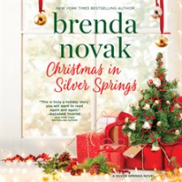 Christmas in Silver Springs by Novak, Brenda