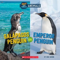 Galapagos Penguin or Emperor Penguin by Geron, Eric