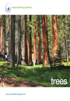 Trees by Visual Learning Systems