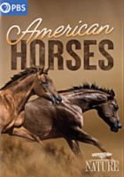 American horses 
