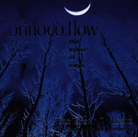 Orinoco flow by Enya