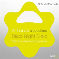 Disko Night Disko by Toru S