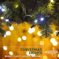Christmas Lights by Organic Spark