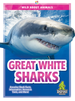 Great White Sharks by London, Martha