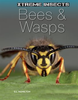 Bees & Wasps by Hamilton, S. L