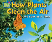 How Plants Clean the Air by Lawrence, Ellen