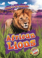 African Lions by Duling, Kaitlyn