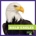 Bald eagles by Schuh, Mari C