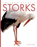 Storks by Riggs, Kate