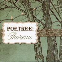 Poetree: Thoreau by Royal Philharmonic Orchestra