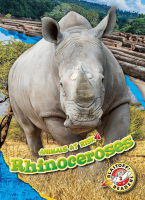 Rhinoceroses by Koestler-Grack, Rachel A