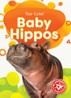 Baby hippos by Barnes, Rachael