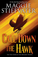 Call down the hawk by Stiefvater, Maggie