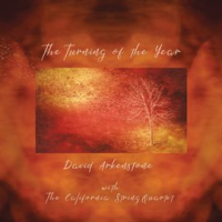 The Turning Of The Year by David Arkenstone