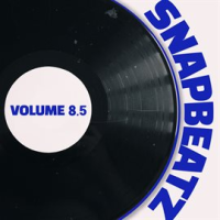 Snap Beatz, Vol.8.5 by Various Artists