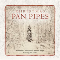 Christmas Pan Pipes by David Arkenstone