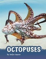 Octopuses by Jaycox, Jaclyn