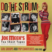Do_The_Strum__Girl_Groups_And_Pop_Chanteuses__1960-1966_