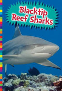 Blacktip reef sharks by Morey, Allan