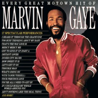 Every_Great_Motown_Hit_Of_Marvin_Gaye