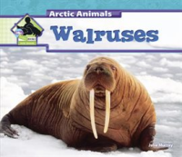 Walruses by Murray, Julie