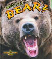 What is a Bear? by Kalman, Bobbie
