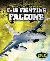 F-16 Fighting Falcons by Finn, Denny Von
