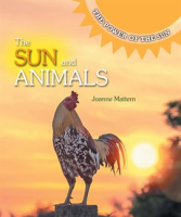 The_Sun_and_Animals