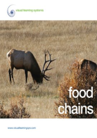 Food Chains by Visual Learning Systems