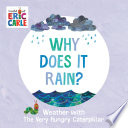 Why does it rain? by Diaz, Joanne Ruelos