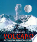 Volcano by Lauber, Patricia