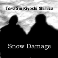 Snow_Damage