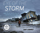 Eye of the storm by Cherrix, Amy E