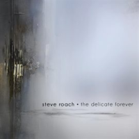 The Delicate Forever by Steve Roach