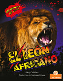 El leon africano by Culliford, Amy