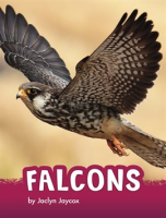 Falcons by Jaycox, Jaclyn