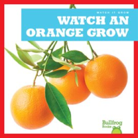 Watch an Orange Grow by Chang, Kirsten