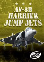 AV-8B Harrier Jump Jets by David, Jack