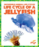Life Cycle of a Jellyfish by Kenney, Karen Latchana