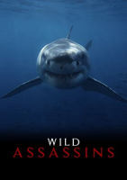 Wild Assassins - Season 1 by Syndicado
