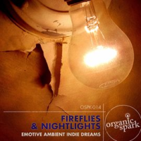 Fireflies & Nightlights by Organic Spark