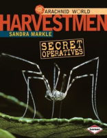 Harvestmen by Markle, Sandra