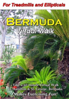 Bermuda Virtual Walk by Jacobs, Wayne