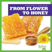 From Flower to Honey by Nelson, Penelope S