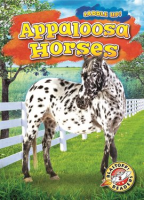 Appaloosa Horses by Grack, Rachel