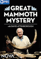 Great mammoth mystery 