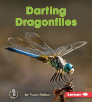Darting Dragonflies by Nelson, Robin