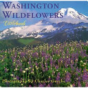 Washington wildflowers by Gurche, Charles