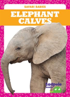 Elephant Calves by Nilsen, Genevieve